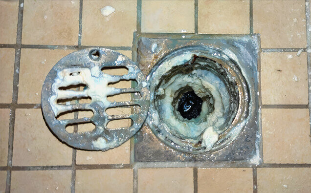 https://blockeddrainsrivervale.com.au/uploads/2025/07/blocked-shower-drains-33151.jpg