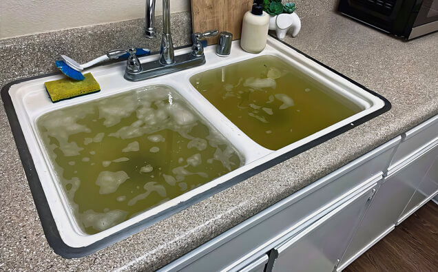 https://blockeddrainsrivervale.com.au/uploads/2025/07/blocked-sink-36283.jpg