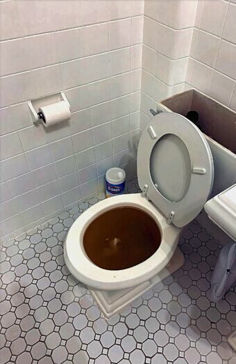 https://blockeddrainsrivervale.com.au/uploads/2025/07/blocked-toilet-42230.jpg